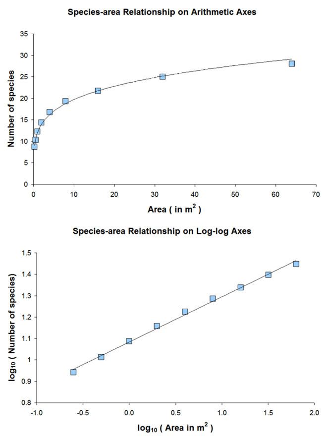 Species–area curve