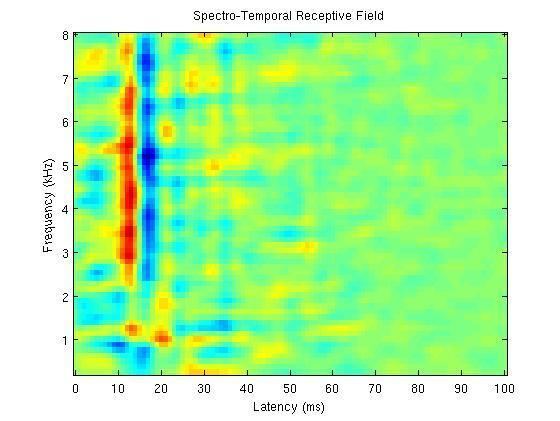 Spectro-temporal receptive field