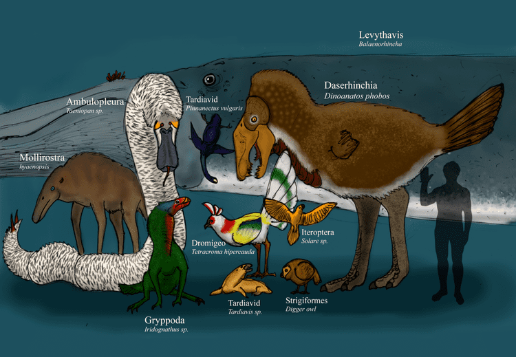 Speculative evolution Speculative Evolution SOURCE Birds are probably one of the most