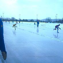Speed skating at the 1980 Winter Olympics – Women's 3000 metres httpsuploadwikimediaorgwikipediacommonsthu