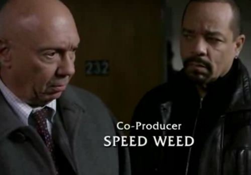 Speed Weed mediatumblrcomtumblrln9eu275G91qhp4czjpg