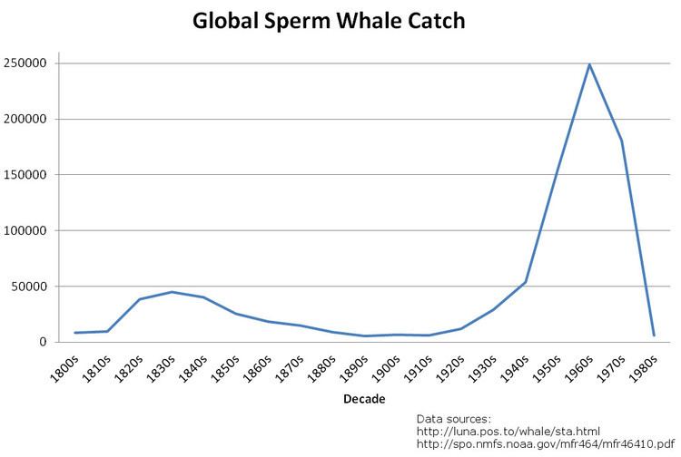Sperm whaling
