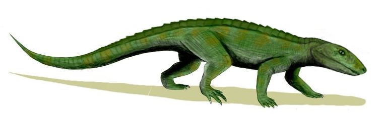Sphagesaurus