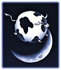 Spherical cow Spherical cow Wikipedia
