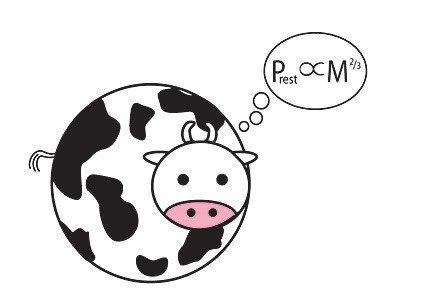 Spherical cow Notes from Two Scientific Psychologists Assume the Cow is a Sphere