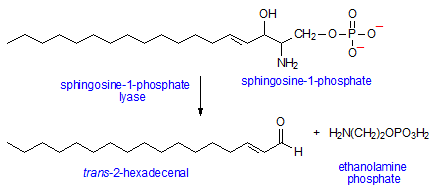 Sphingosine Sphingosine1Phosphate AOCS Lipid Library