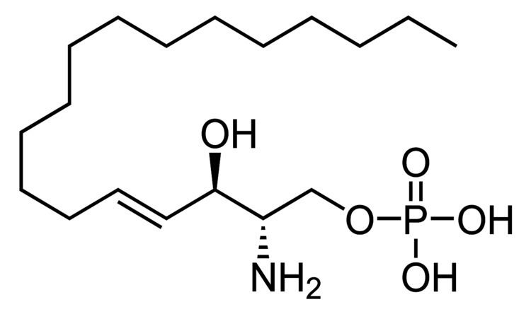 Sphingosine-1-phosphate FileSphingosine 1phosphatesvg Wikipedia