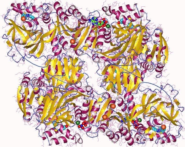 Sphingosine kinase