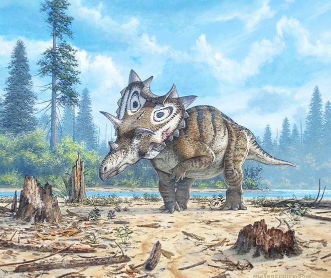 Spiclypeus New FrillyNecked Dinosaur Identified Earth Science Club of