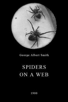 Spiders on a Web httpsaltrbxdcomresizedfilmposter15143
