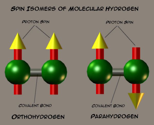 Spin isomers of hydrogen