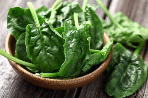 Spinach Spinach Nutrition Health Benefits amp Recipes