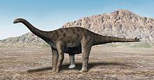 Spinophorosaurus Spinophorosaurus Wikipedia