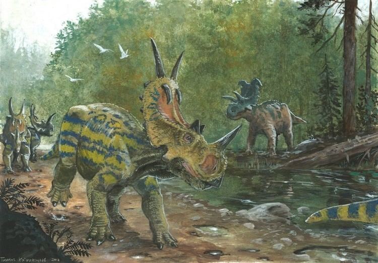 Spinops Spinops Pictures amp Facts The Dinosaur Database