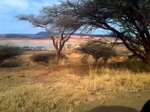 Spioenkop Dam Nature Reserve Spioenkop Nature Reserve Zebras Antelope Wildebeest YouTube