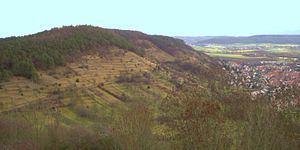 Spitzberg (Tübingen) httpsuploadwikimediaorgwikipediacommonsthu