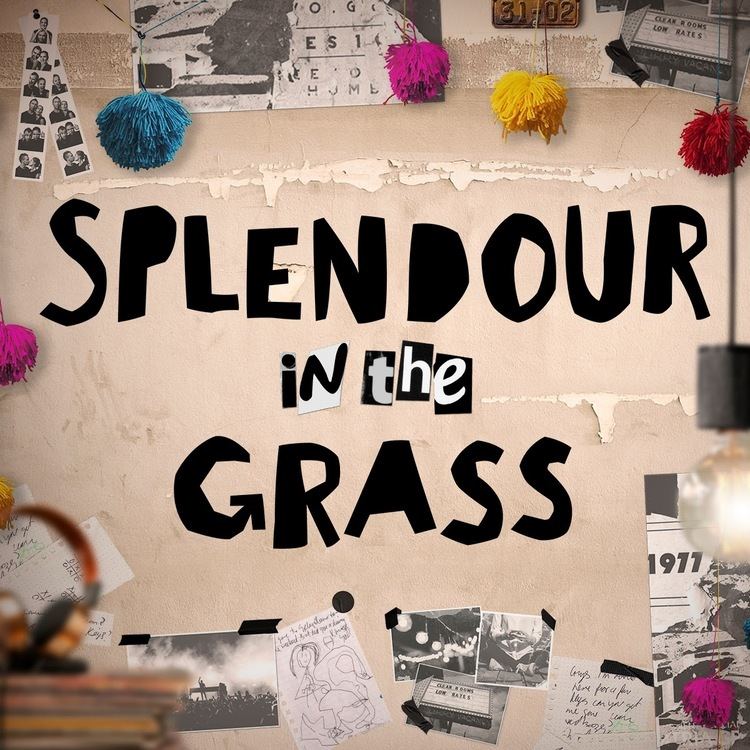 Splendour in the Grass httpslh6googleusercontentcomwlxQ9fgwtk8AAA