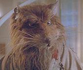 Splinter (Teenage Mutant Ninja Turtles) httpsuploadwikimediaorgwikipediaenthumb7