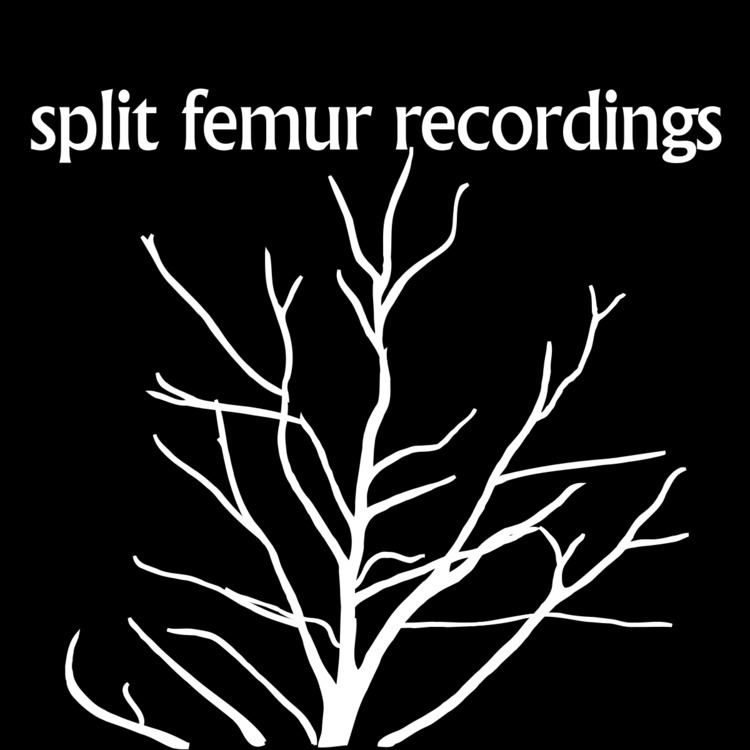 Split Femur Recordings