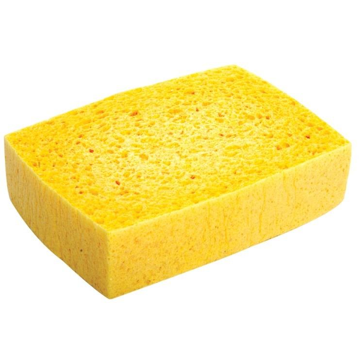 Sponge Lincoln Sponge