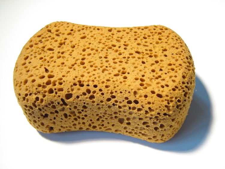 Sponge I am Sponge Alastair Puddick