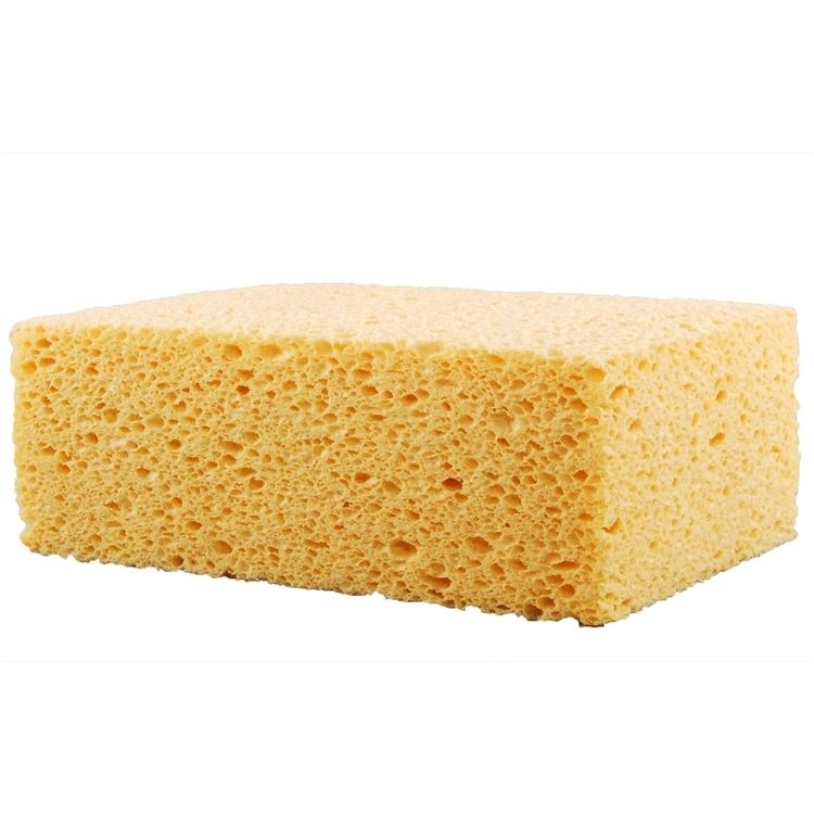 Sponge Sponges