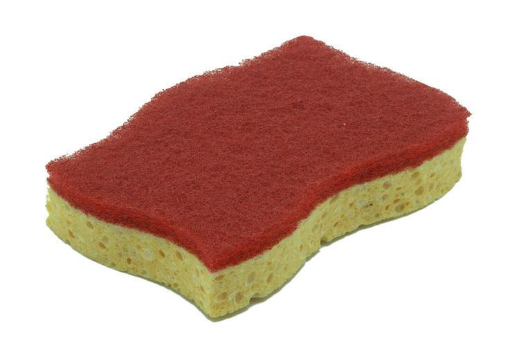 Sponge (material)