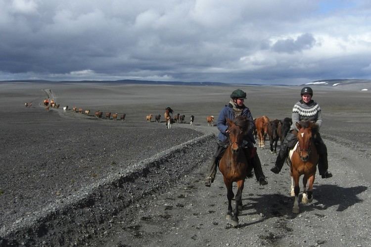 Sprengisandur Eldhestar Sprengisandur Tour Horseback Riding Tour in Iceland