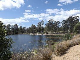 Springfield Lakes, Queensland httpsuploadwikimediaorgwikipediacommonsthu