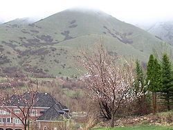Springville, Utah httpsuploadwikimediaorgwikipediacommonsthu