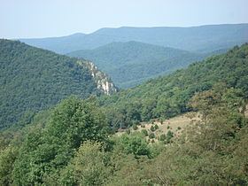 Spruce Mountain (West Virginia) httpsuploadwikimediaorgwikipediacommonsthu