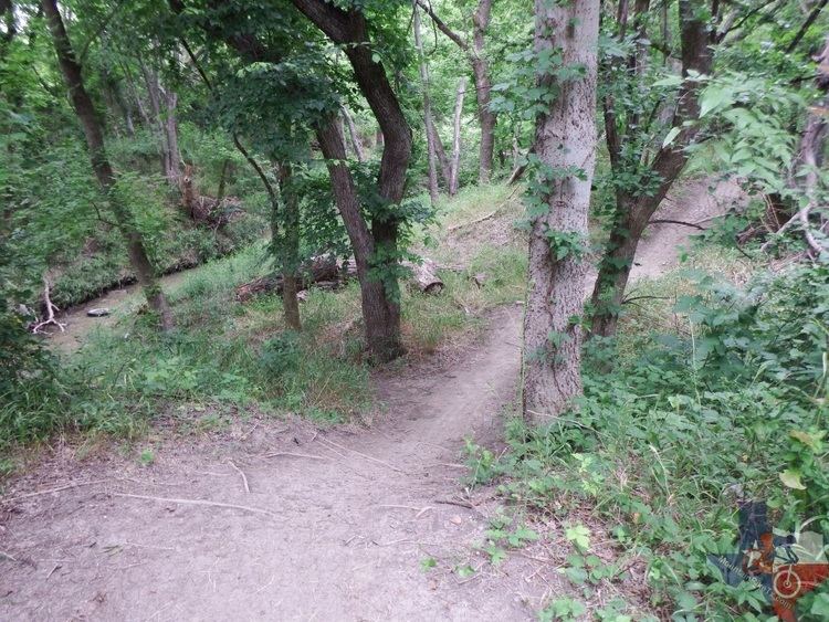 Squabble Creek (Texas) wwwmountainbiketxcomimagesphotostrailssquabb