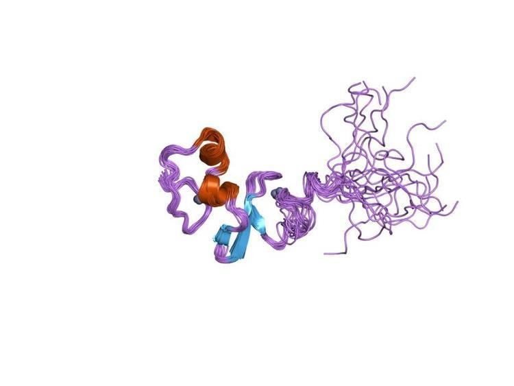 Squamosa promoter binding protein