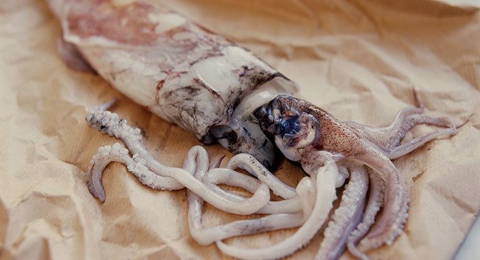 Squid as food Ink squid BBC Good Food