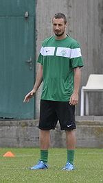 Srđan Stanić (footballer, born 1982) httpsuploadwikimediaorgwikipediacommonsthu
