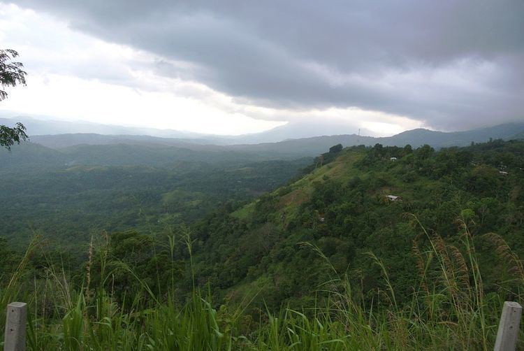 Sri Lanka lowland rain forests