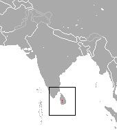 Sri Lankan long-tailed shrew httpsuploadwikimediaorgwikipediacommons22