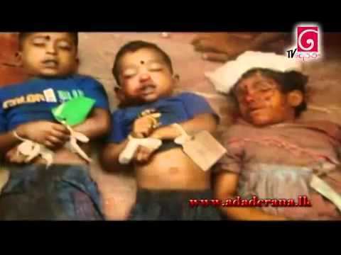 Sri Lanka's Killing Fields Sri Lanka39s Killing Fields Channel 439s Fake documentary A disgrace