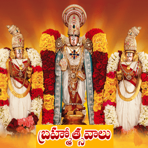 Srivari Brahmotsavam Srivari Brahmotsavam Specials Android Apps on Google Play