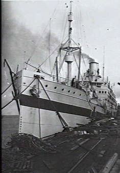 SS Tasman (1921) httpsuploadwikimediaorgwikipediacommonscc