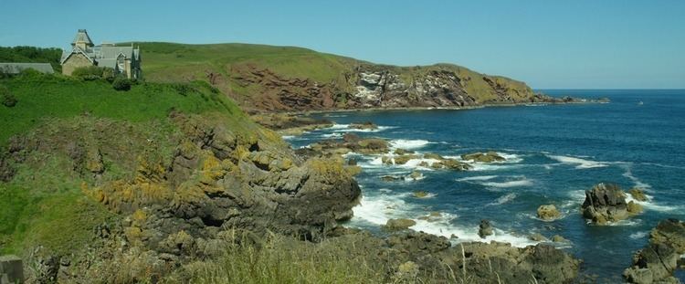 St Abb's Head St Abbs for Seabird Spectacle Must See Scotland