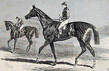 St. Blaise (horse) httpsuploadwikimediaorgwikipediacommonsthu
