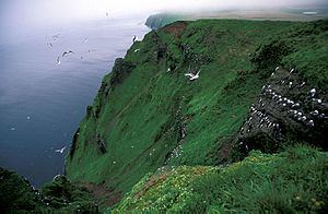 St. George Island (Alaska) httpsuploadwikimediaorgwikipediacommonsthu