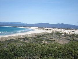 St Helens, Tasmania httpsuploadwikimediaorgwikipediacommonsthu