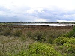 St Leonards Salt Lagoon httpsuploadwikimediaorgwikipediacommonsthu