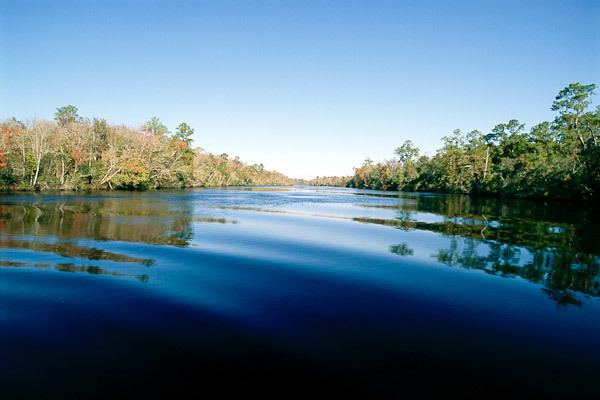 St. Marys River (Florida–Georgia) wwwsaintmarysriverorgimagesstmarys05jpg