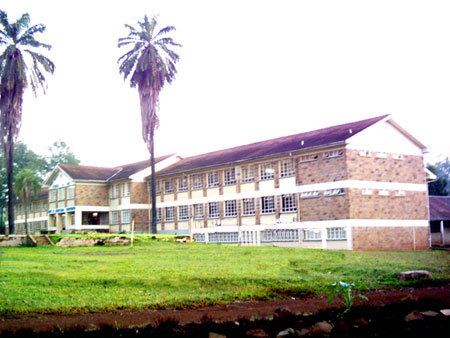 St. Mary's School, Yala