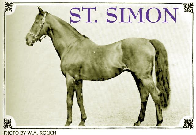 St. Simon (horse) History Dashtafamehorses