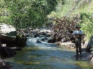 St. Vrain Creek wwwcoloradofishingnetimagesfishtailsftsv2jpg