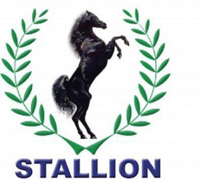 Stallion Group thenationonlinengnetwpcontentuploads201405S
